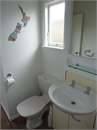 Cottage ~ toilet and wash basin