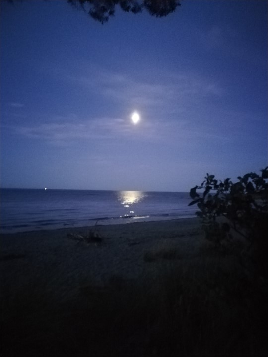 Moon at Patons Rock Beach, 5 minute drive
