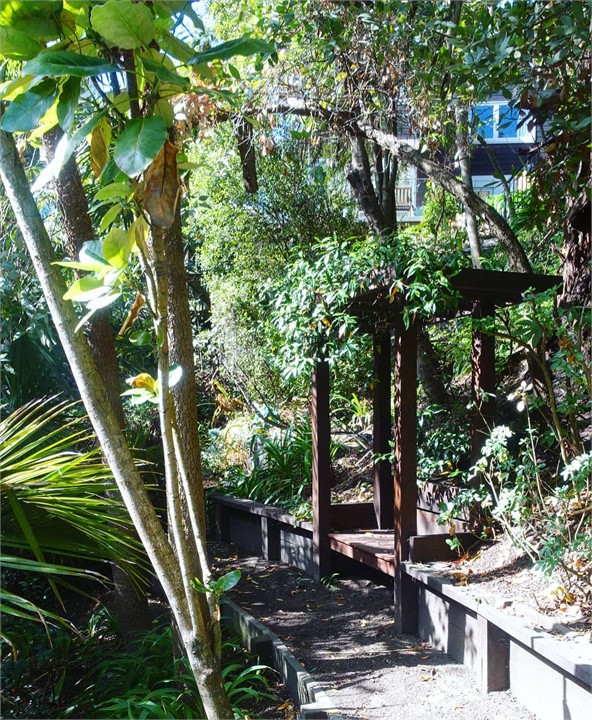 Outdoor seating amongst the trees