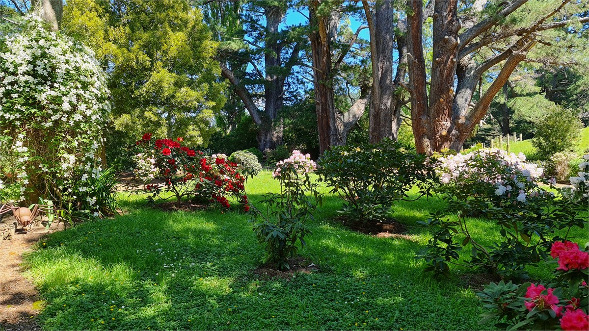 Rhododendron & Clivia Dell