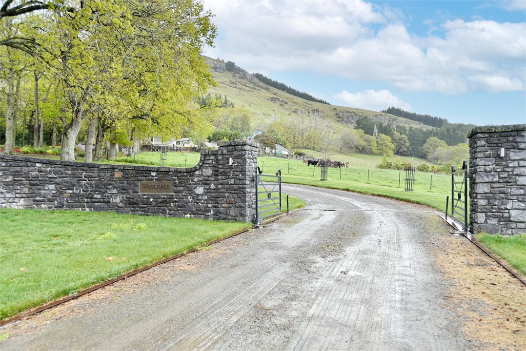 View of the Outside area and driveway