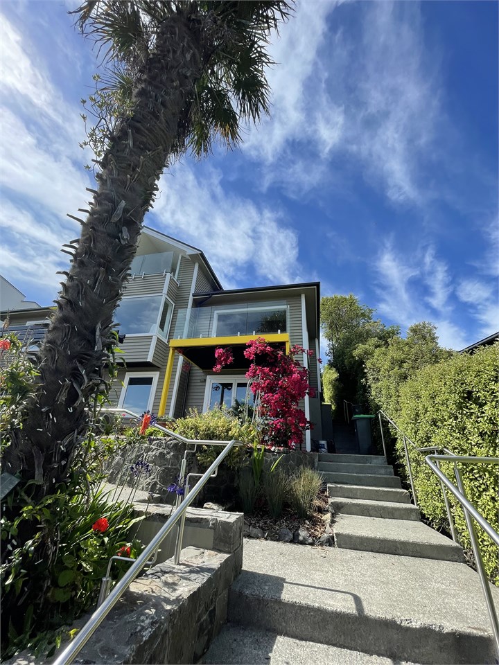 Under the Yellow Canopy Entry