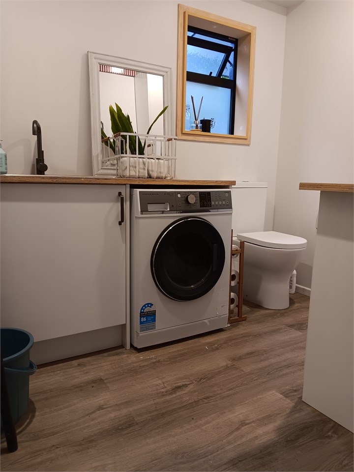 Laundry - second toilet and new washing machine (d