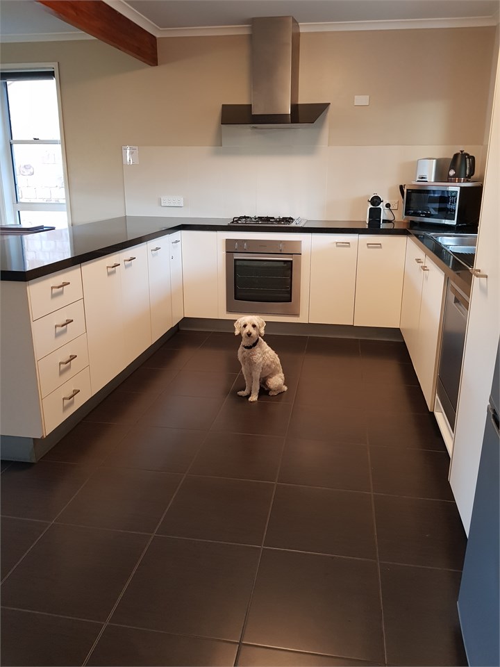 Kitchen with 2 Coffee Machines- 1 for Grinds & Pod