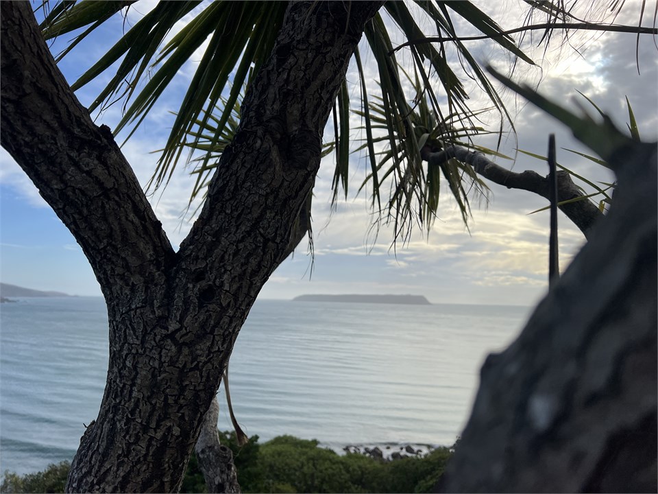 Views from front deck