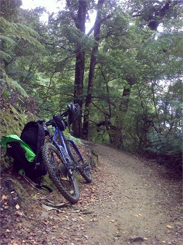 Queen Charlotte Track