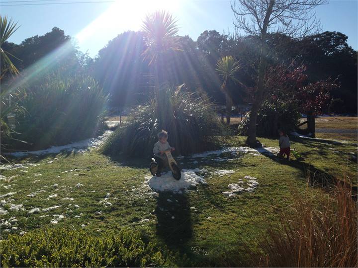 Front garden after snowfall