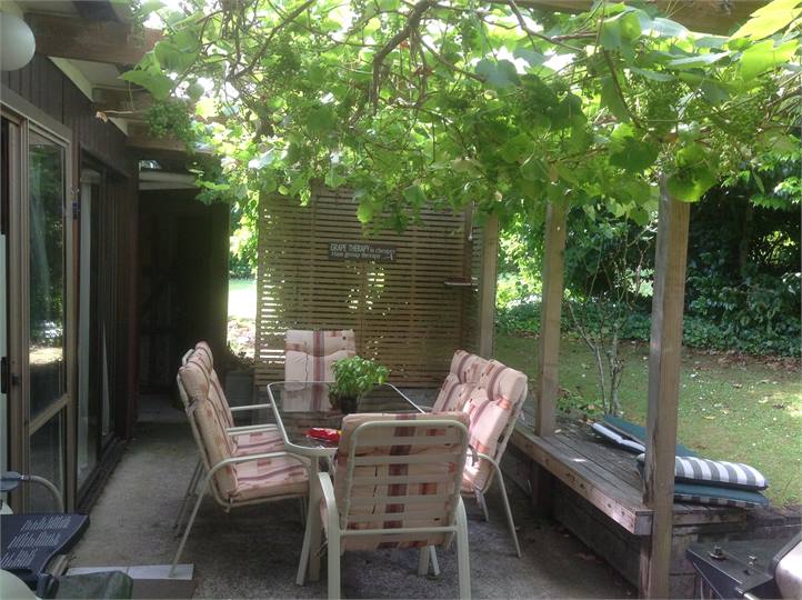 Overhead grape vines