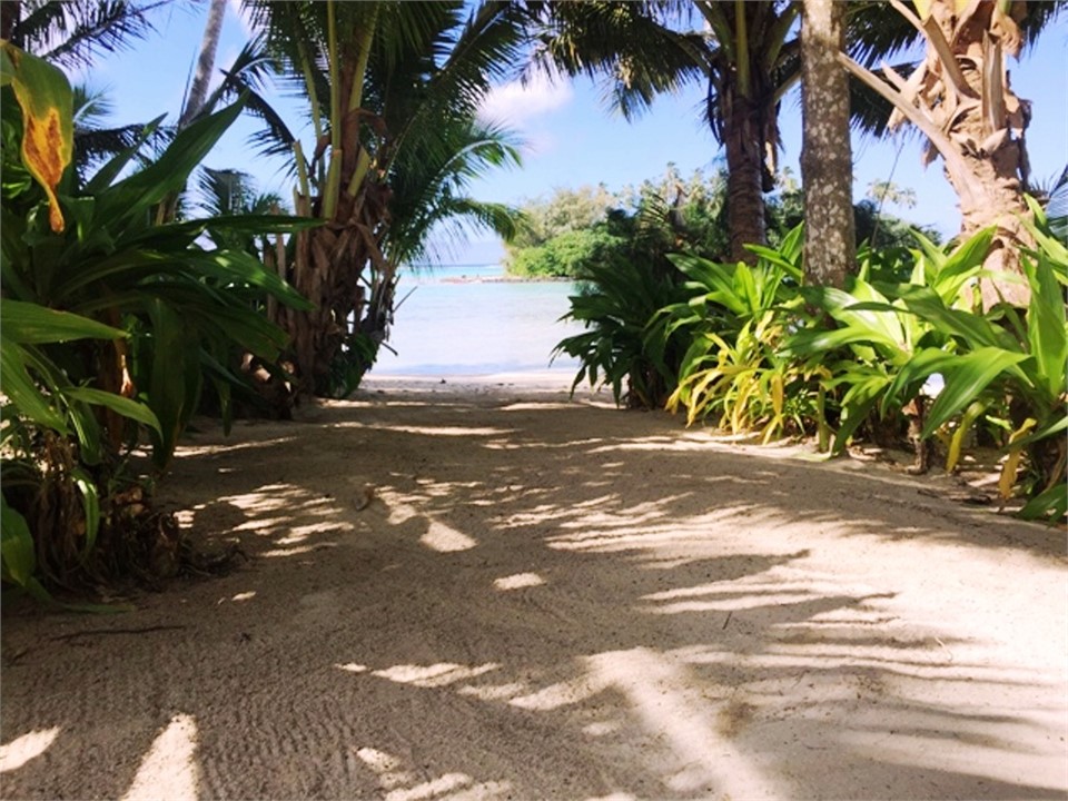 your own beach access - completely private