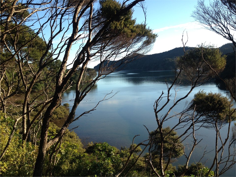 Harbour view from our track