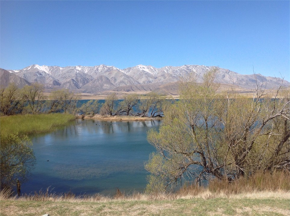 Lake Heron Canterbury