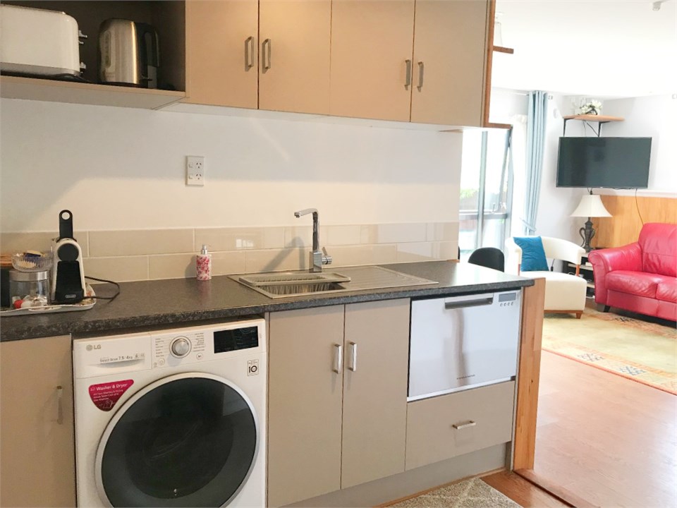 Washing Machine/Dryer combo in kitchen