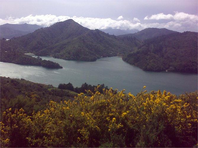 Queen Charlotte View