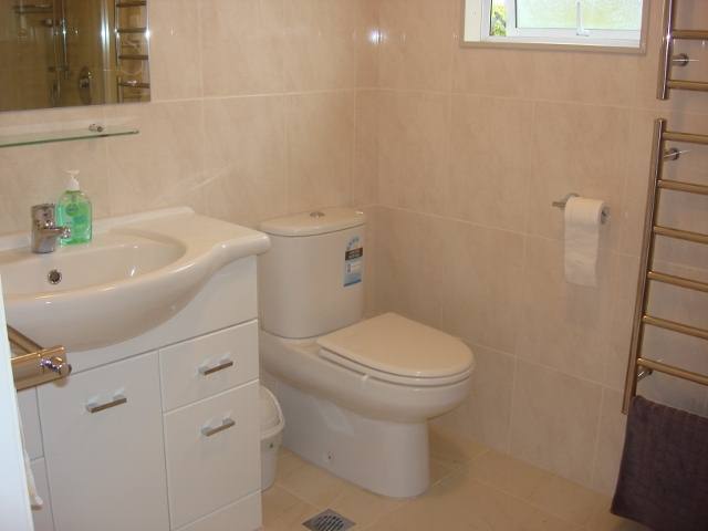 Bathroom with toilet and long shower