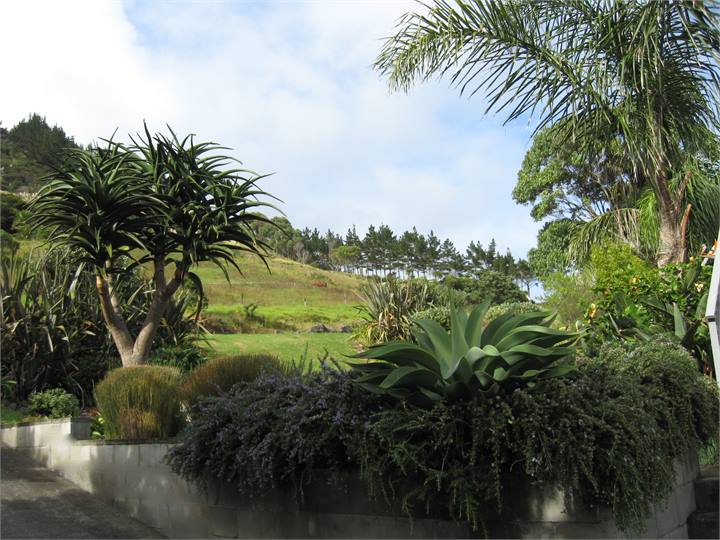 Gardens Facing the Hills