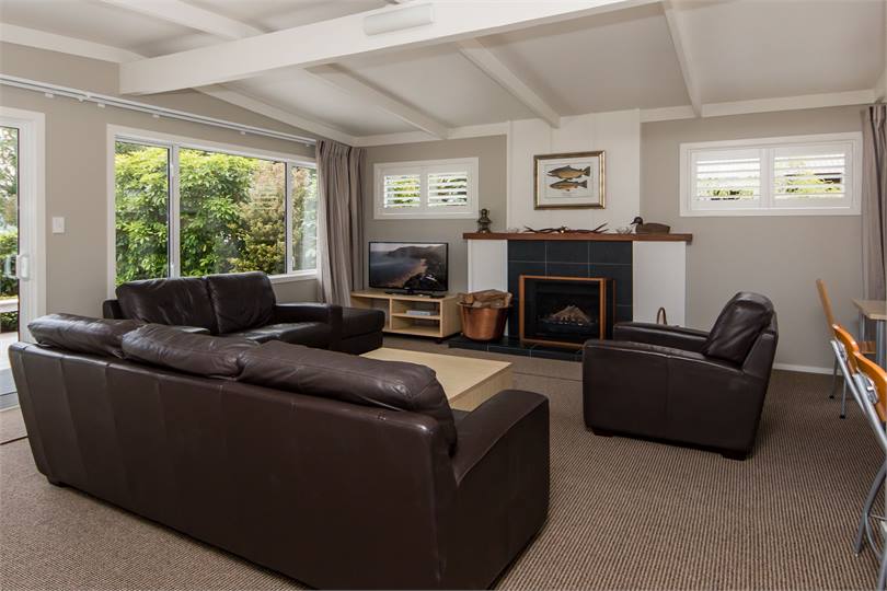 Living Area and Fireplace