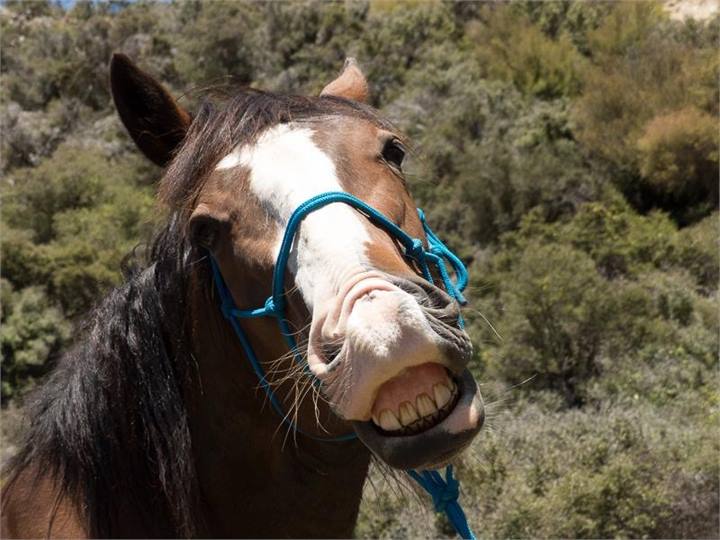 Smile your on camera