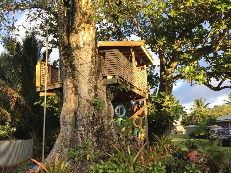 Tree gut and fireman's pole - kids just love this 