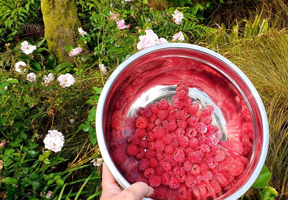 garden produce available
