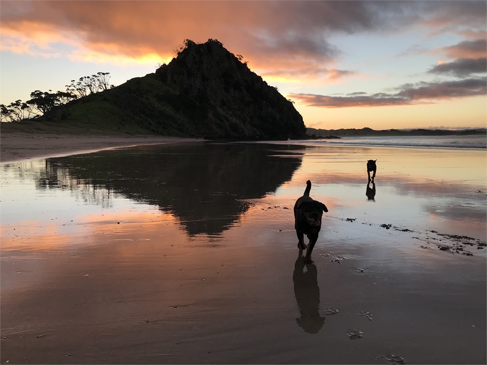 Sunset at Frogtown beach 10 minutes walk