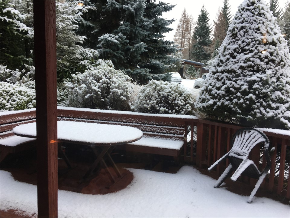 Deck after snow 2020