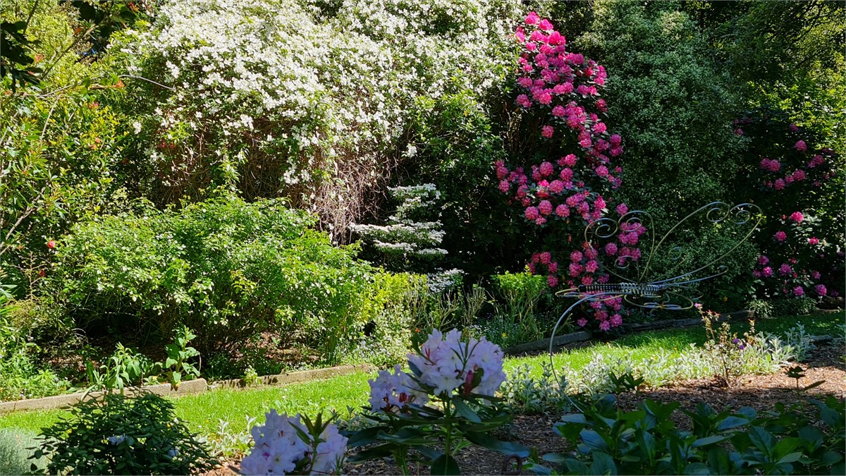Rhododendron & Clivia Dell