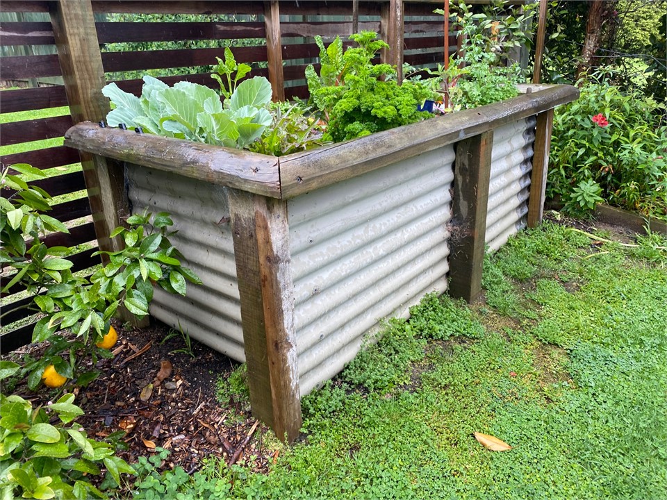 The vegetable garden at the back