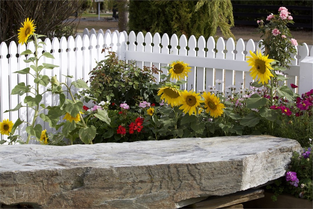 Garden...summer 2020