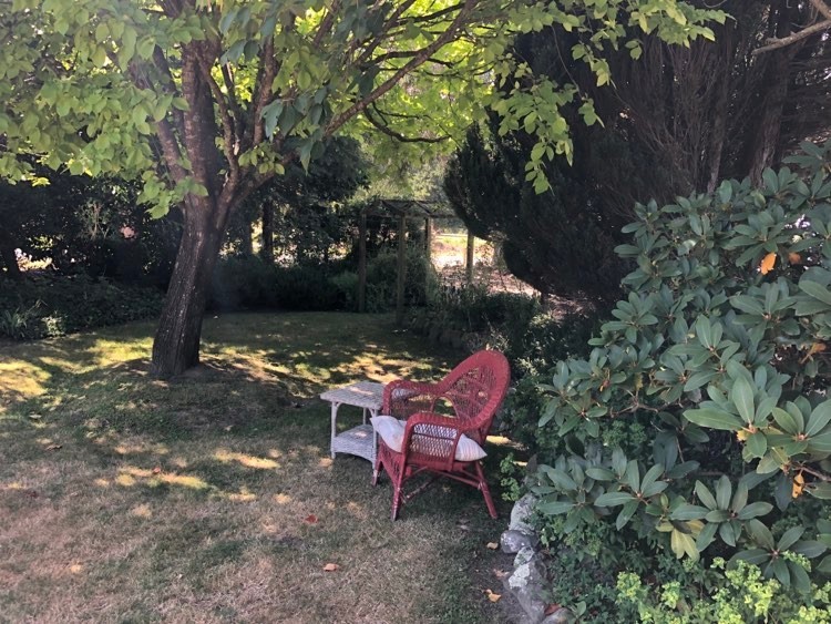 Lots of restful leafy spots