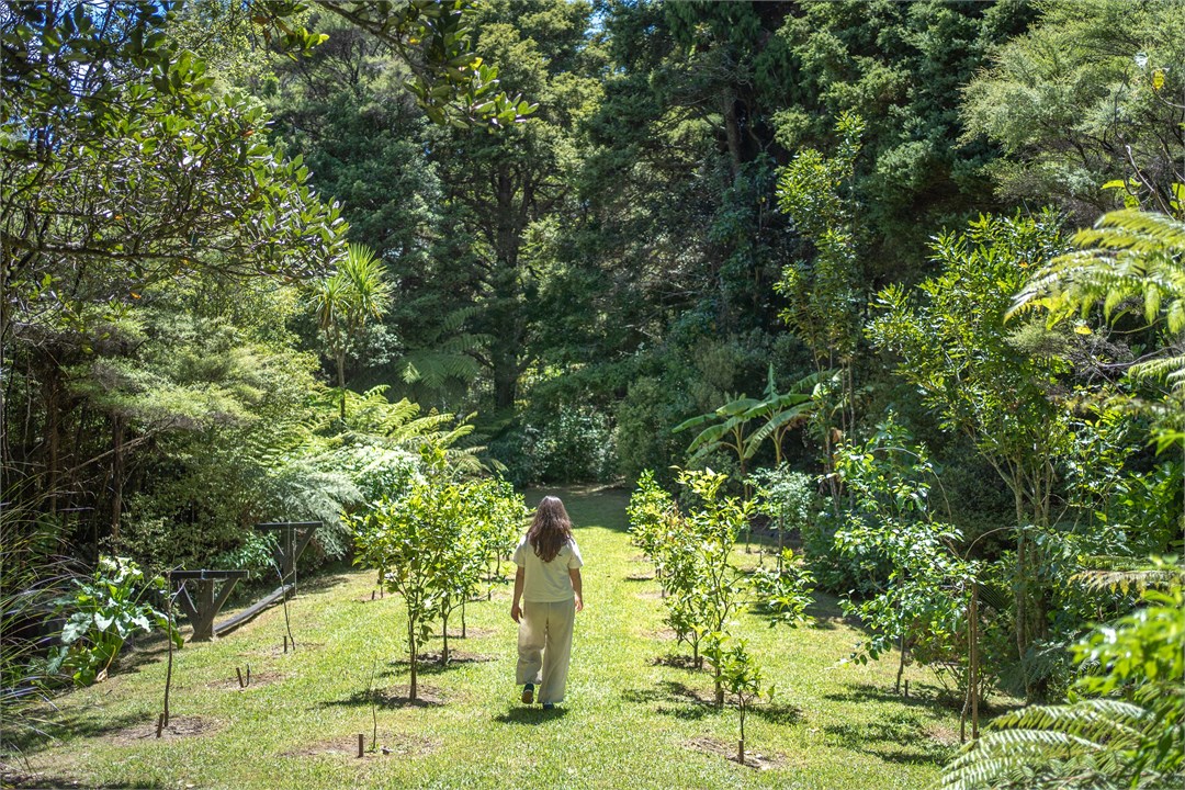 Property walk - orchard