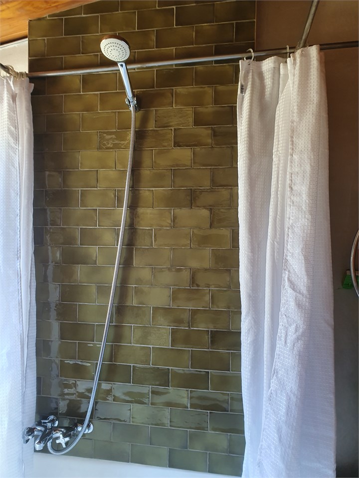 The new shower over the clawfoot bath