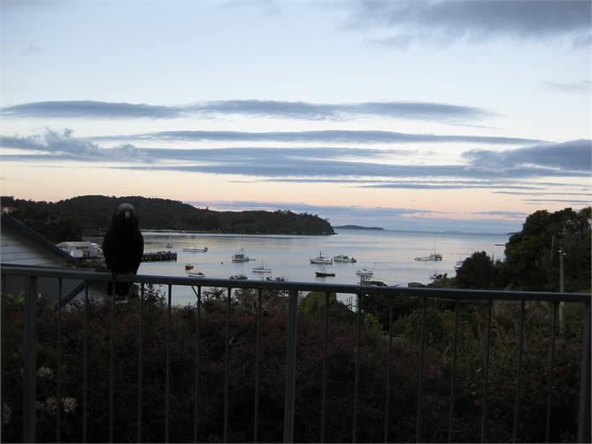Kaka enjoying view from balcony
