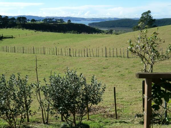 View Of Kaipara Harbour