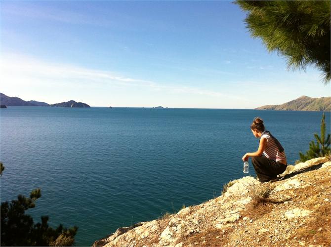 From the walking trail