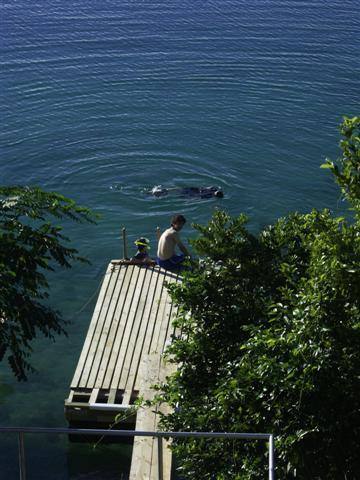 swimming from the dock