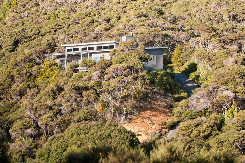 Home nestled in native bush