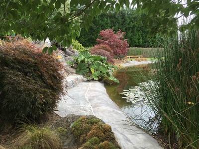 Rock pond seating