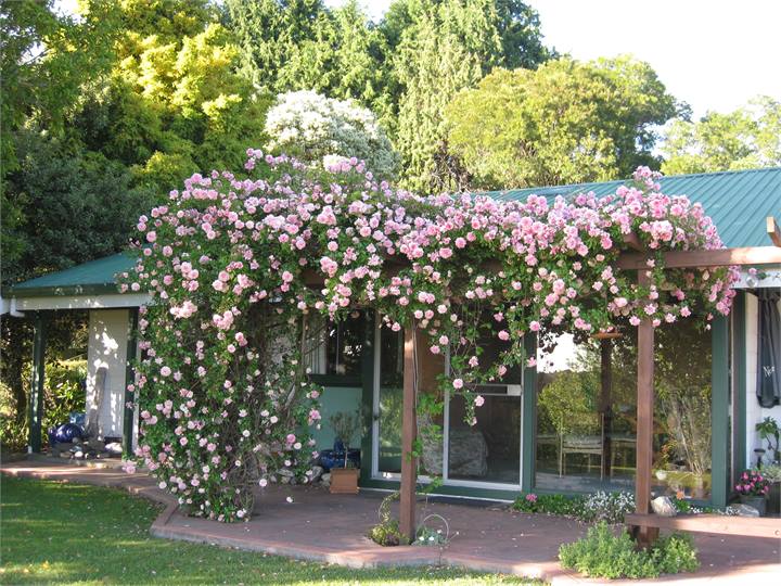 The Farmstay with beautiful gardens and amazing vi