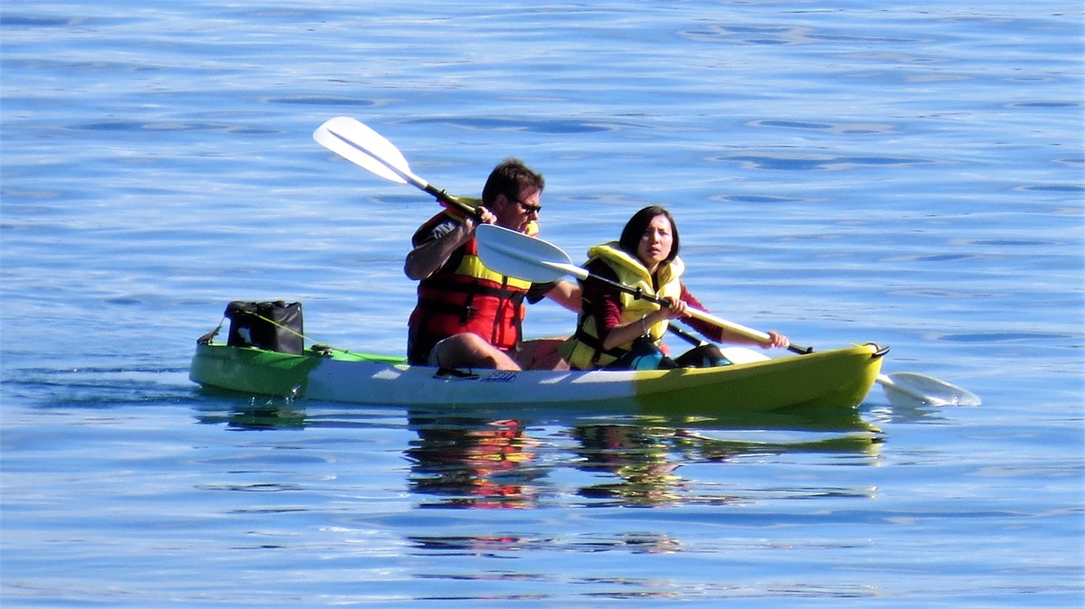 Explore secluded bays or try fishing