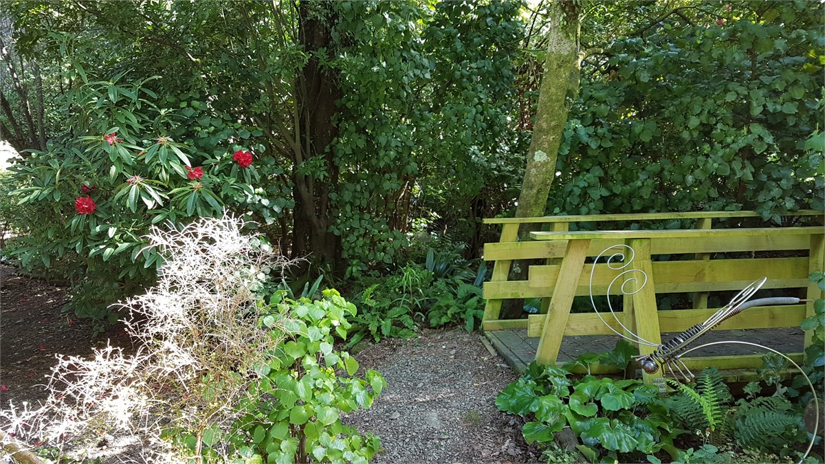 Rhododendron & Clivia Dell