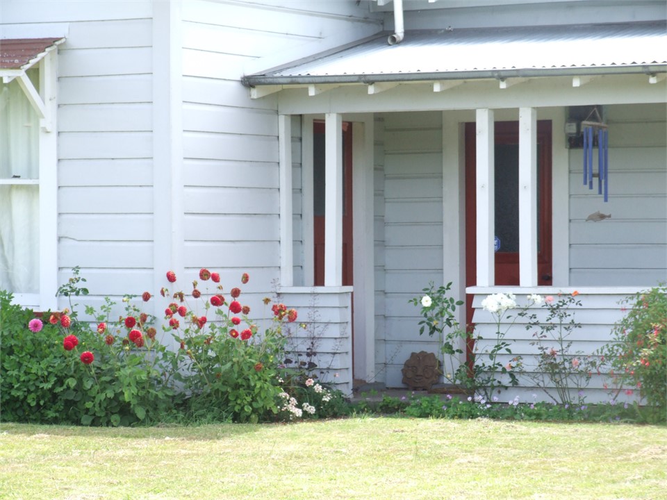 Riverlea Cottage Roses in spring /summer and later