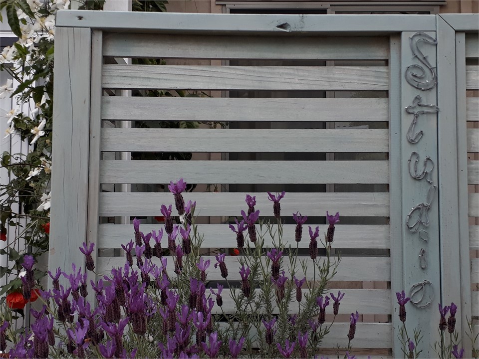 gate at the studio entrance
