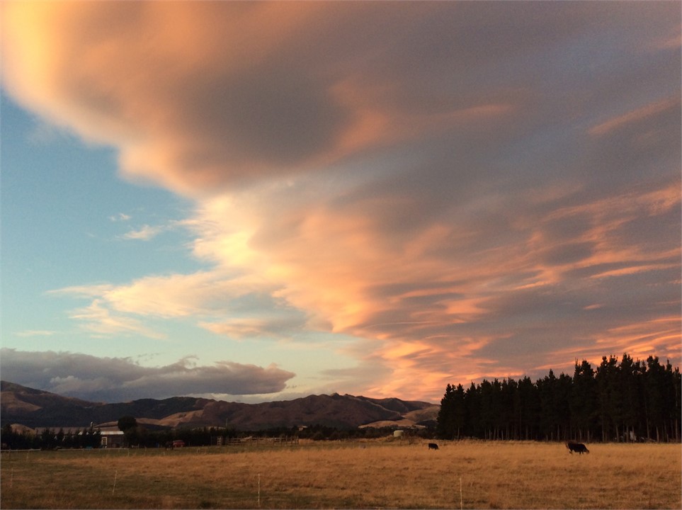 View across the paddock