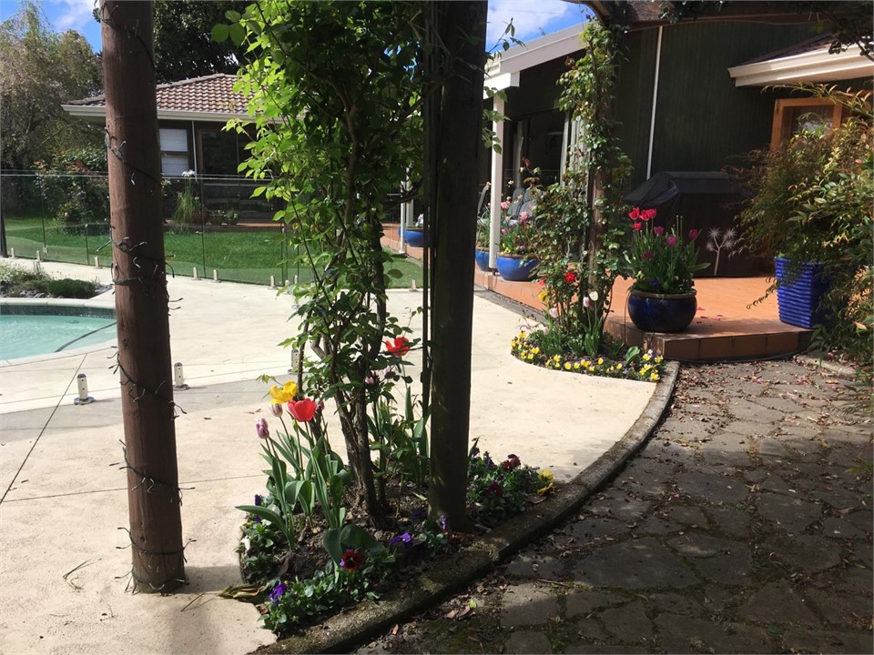 Pool by owners home for your use