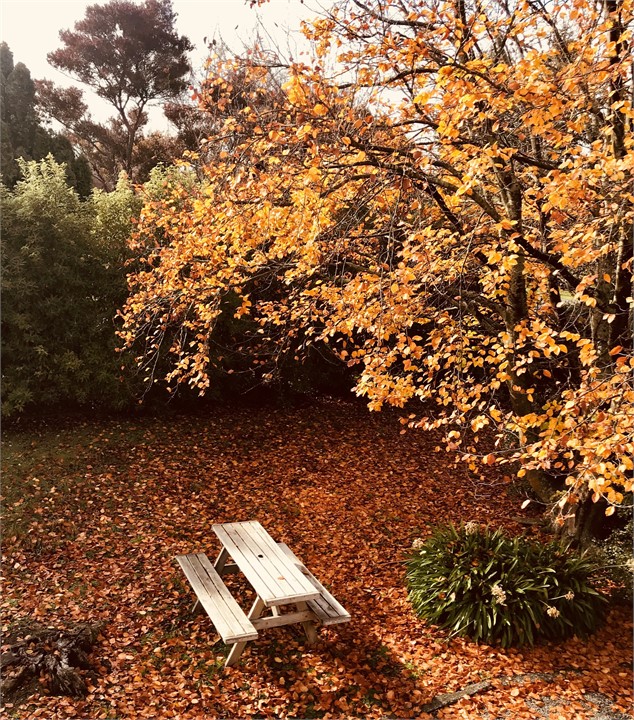 Upstairs bedroom - queen bed with private balcony