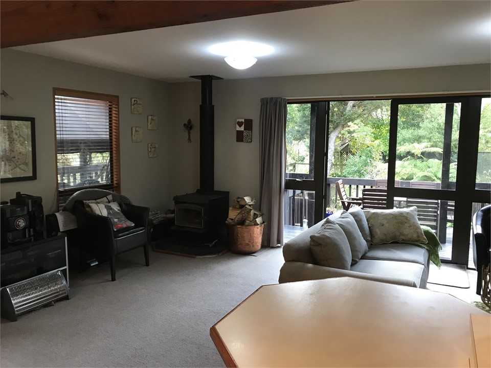 Section of lounge showing log fire