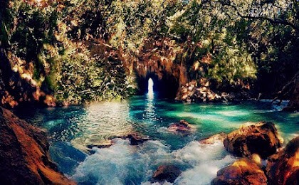 Whenuakara (Donut) Island just off Whangamata for 