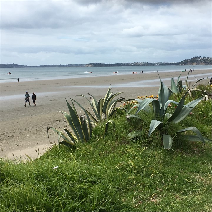 Looking south down the beach.