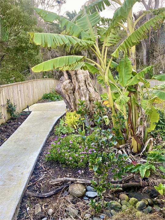 landscaped fully fenced garden