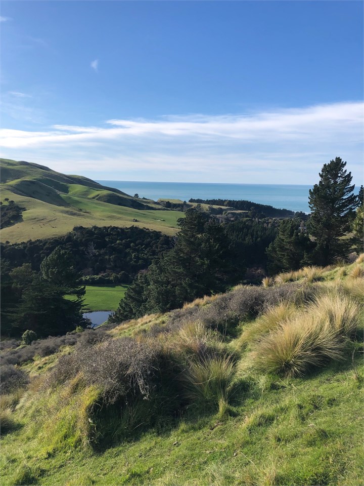 View to Gore Bay from hill